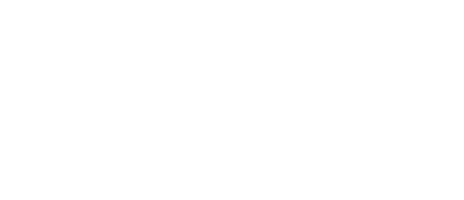 Tech Consulting